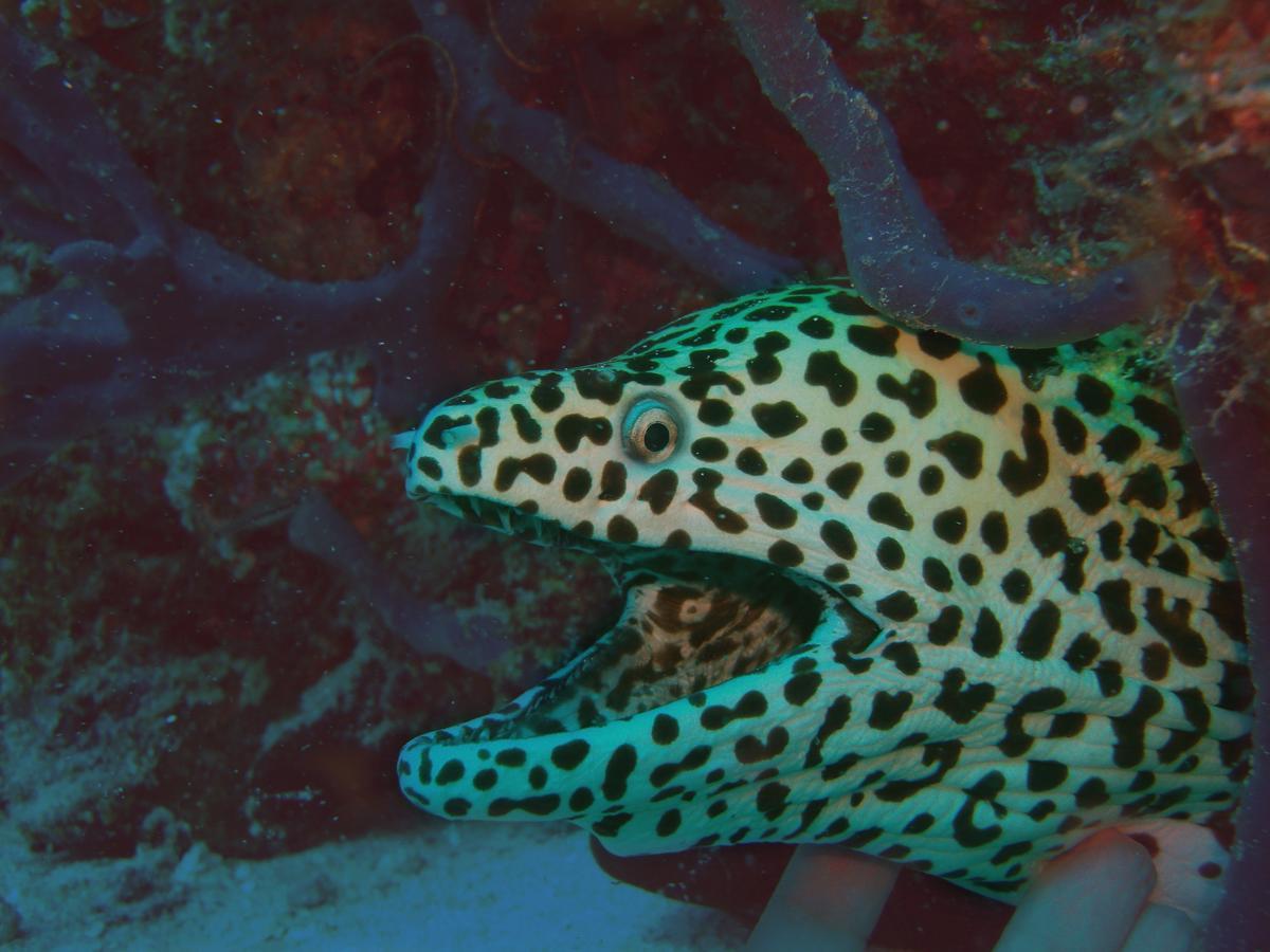 Olhumathi View Inn Ukulhas Zewnętrze zdjęcie
